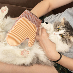 Масажна рукавичка — щітка для видалення шерсті кішок і собак із захистом від подряпин